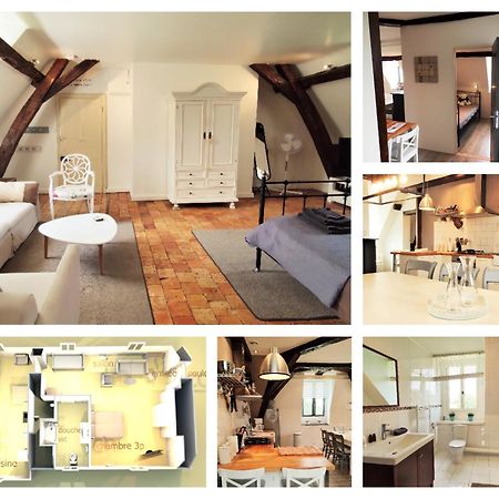 Chateau La Mothaye - Self Catering Apartments With Pool In The Loire Valley Les Bois-d'Anjou Bagian luar foto
