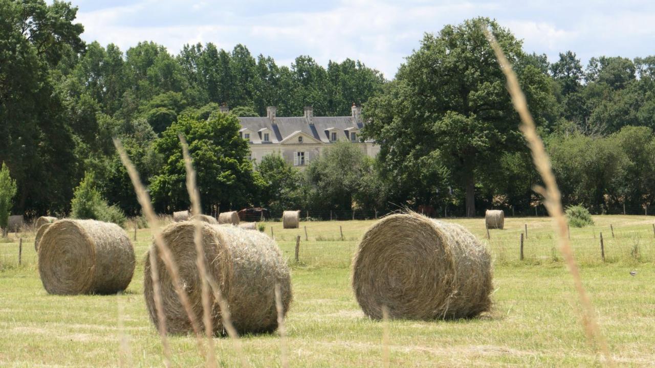 Chateau La Mothaye - Self Catering Apartments With Pool In The Loire Valley Les Bois-d'Anjou Bagian luar foto