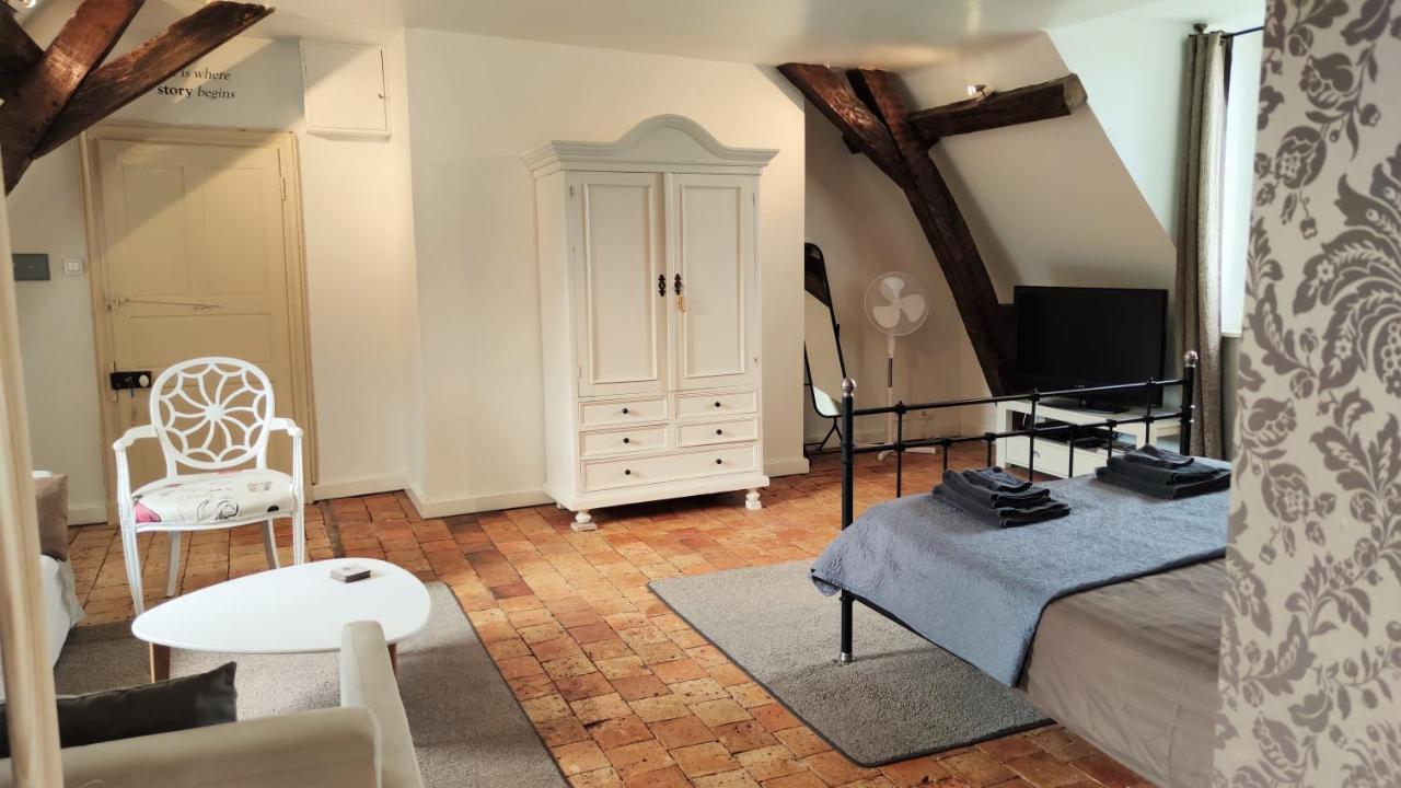 Chateau La Mothaye - Self Catering Apartments With Pool In The Loire Valley Les Bois-d'Anjou Bagian luar foto